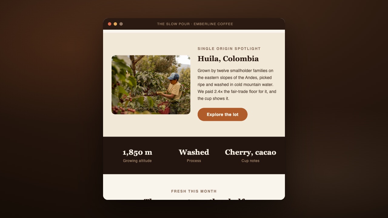 Single-origin spotlight